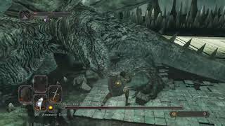 SL1 NG+7 CoC No rolling/blocking/parrying Sinh, the Slumbering Dragon