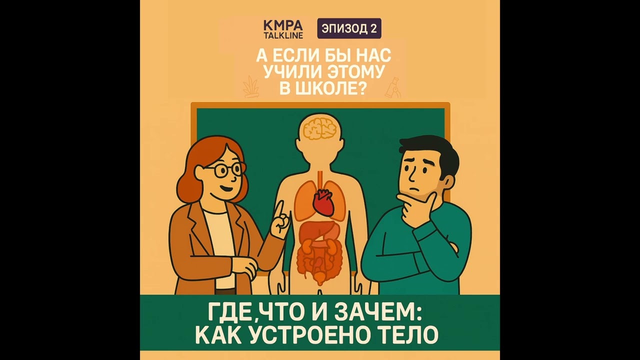 Где, что и зачем: как устроено тело | KMPA Talkline | Сезон 4, Эпизод 2