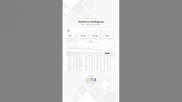 The Staffing Dashboard - Workforce Intelligence | FP&A Automation Series