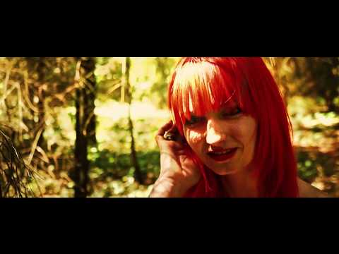 Haudegen - Wilde Orchideen 2017 (Official Video)