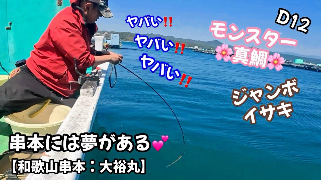 大型魚 Instantly take down a giant rockfish of Japanese record class! A