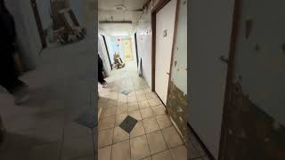 #usa #works #tiles #construction #garden #nyc #brooklyn #плитка #ремонт #shorts