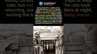 The “War Against Rats” in the World War I Trenches, Bigger Than Cats? #didyouknow #warzone