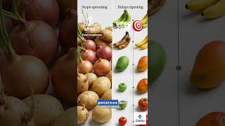 Food Irradiation : UPSC Science and Tech 2026