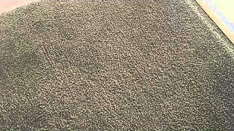 Carpet cleaning traffic patterns