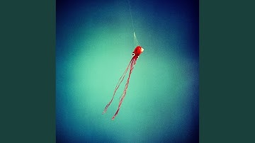 iris (Choopsie Rework)