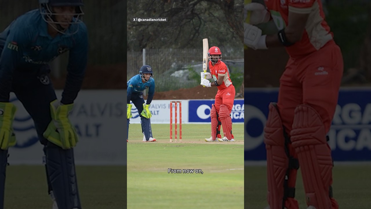 Круглогодичная площадка для крикета появится в Брамптоне