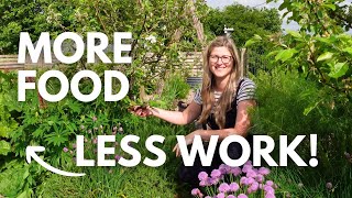 Plant This for MORE FOOD with LESS WORK! (Easy Fruit Tree Guild) | Irish Garden