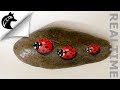 How To Paint A Ladybug on a rock rockpainting steine bemalen