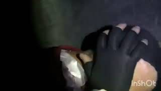 Dracula Flow The Worms