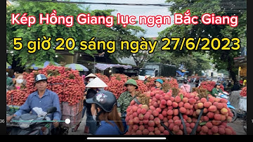 Vải Thiều Lục ngạn cập Nhật giá ngày 27/6/2023.tại kép Hồng Giang lục ngạn Bắc Giang