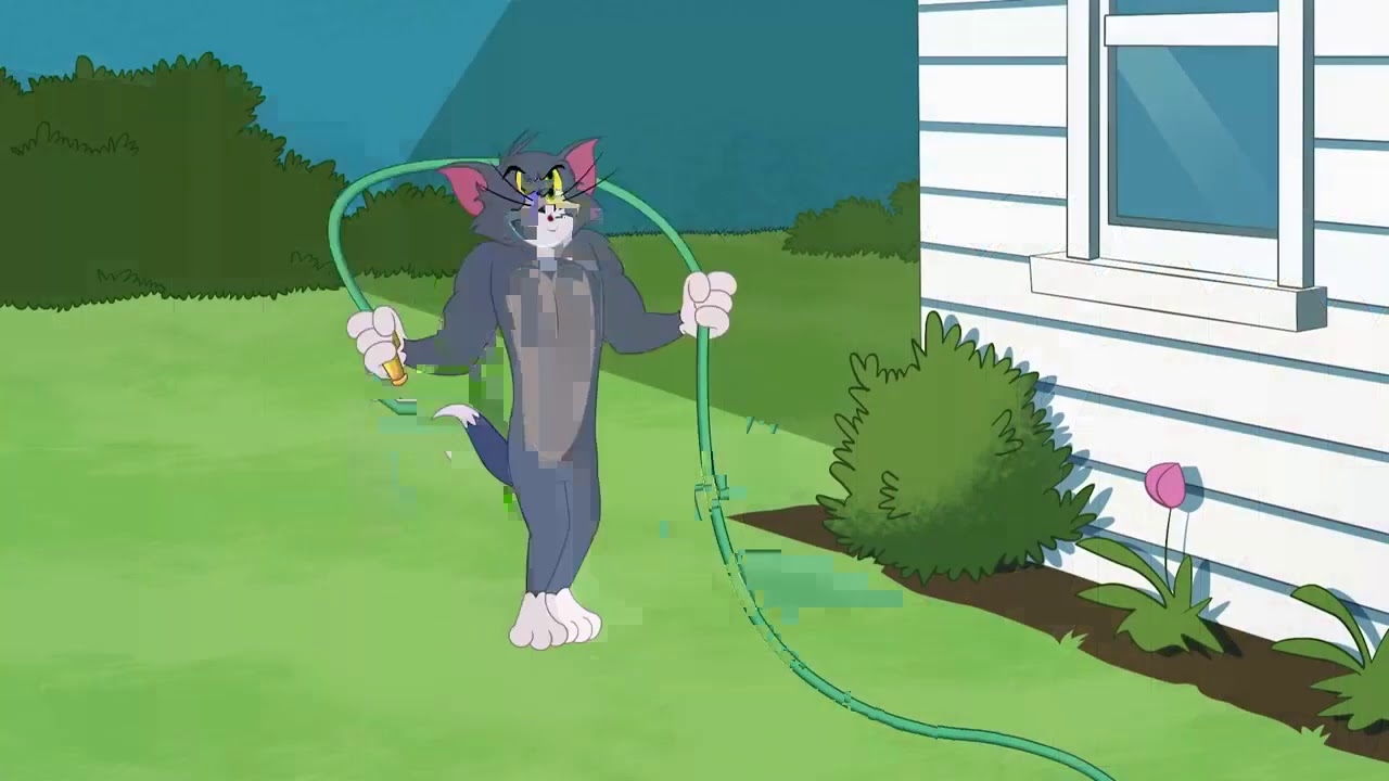 The Tom and Jerry Show Tom The Gym Cat Boomerang UK 🇬🇧 YouTube