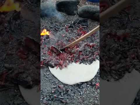   اللبه البدو