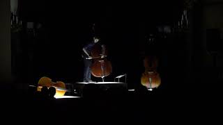 We Must for speaking double bassist and live electronics by Sebastian Rivas,