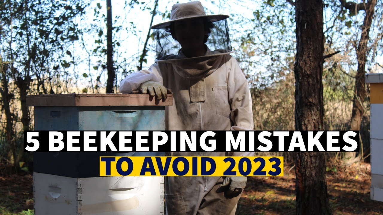 Beekeeping | 5 Beekeeping mistakes to Avoid in 2024 - YouTube