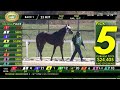 Tampa Bay Downs Live Stream