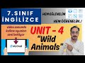7. SINIF İNGİLİZCE | 4. ÜNİTE / WILD ANIMALS