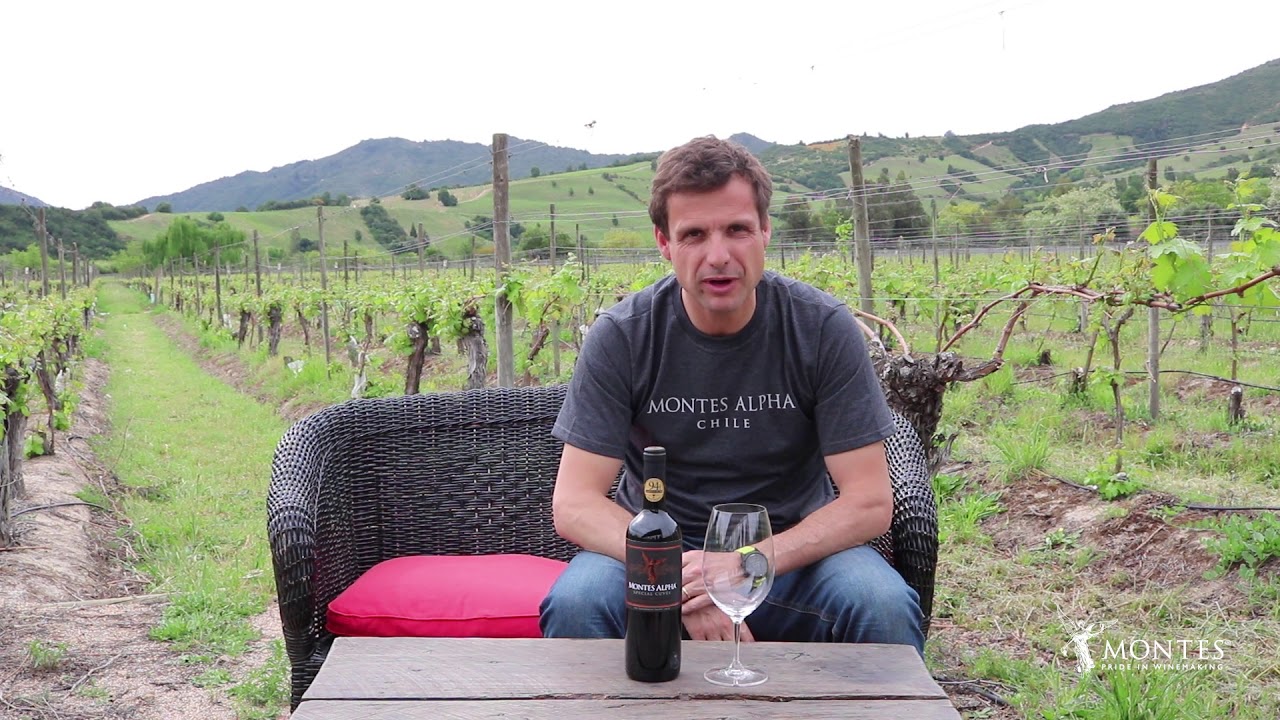 Tips de Aurelio Montes [2/2] | Montes Wines