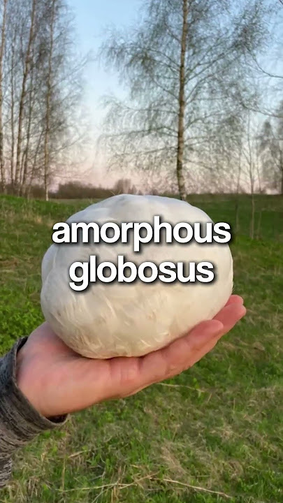 Amorphous Globosus is creepy