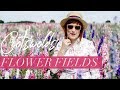 Cotswolds Flower Fields