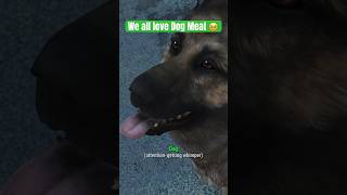 Dog Meat is the goodest boy in Fallout 4 #shorts
