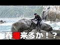 春爆を求めてヒラスズキ釣り
