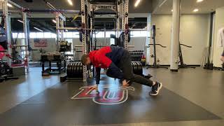 Quadruped Toe Touches
