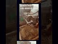 PASTA MACRONI MAKING MACHINE