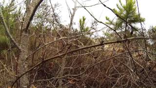 Bix3 Onboard Flying for First time with Funny Crash