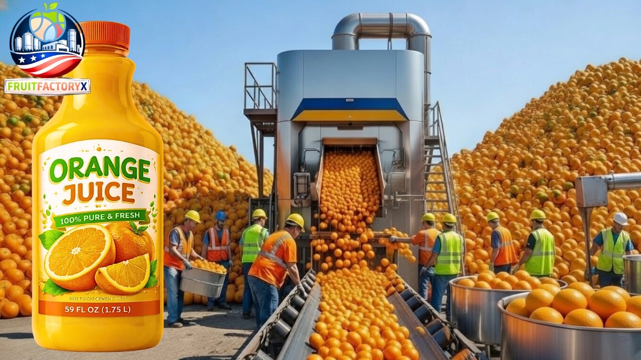 Inside a Modern Orange Factory: From Farm to Orange Juice | Full Process