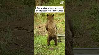 One Day The Truth Will Come Out