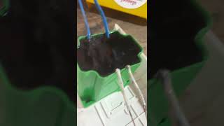 Pure coper jhatka machine