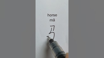 Learn Chinese characters #shorts #learnchinese #chinese #chineselanguage #basicchinese