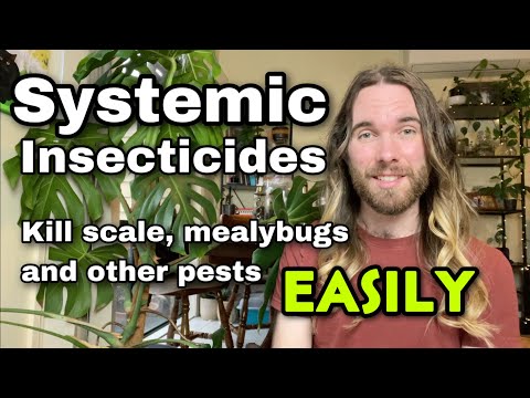 Video: Sú systémové pesticídy bezpečné – ako používať systémové insekticídy v záhrade