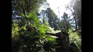 Calling CQDX from the Shack out Back