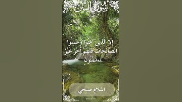 95Quran Surah At Tin Al Sheikh Islam Sobhi الشيخ اسلام صبحي سورة التين كاملة