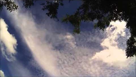 Andropilot in Action