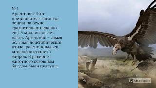 ТОП ПЯТЬ САМЫХ БОЛЬШИХ СУЩЕСТВ КОГДА ЛИБО СУЩЕСТВОВАВШИХ НА ЗЕМЛЕ