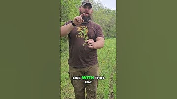 Oats & Peas: Secret to a Lush Food Plot! Full video in comments. #deerplot #nixahardware #foodplot