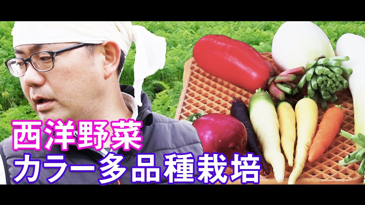 珍しい野菜栽培！西洋野菜やカラー人参など