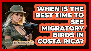 When Is The Best Time To See Migratory Birds In Costa Rica? - Bird Watching Diaries