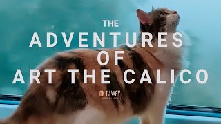 Adventures of Art The Calico | On The Way Vlogs | Adanj Studio | cat vlog | Cinematic Vlog screenshot 4