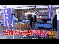 たねがしまるマルシェ in まちかどインフォメーションセンター 令和3年11月27日～種子島のふるさと情報