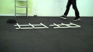 LoLaBuLand Puppy/Tricks Lesson 3 - Cavaletti 1