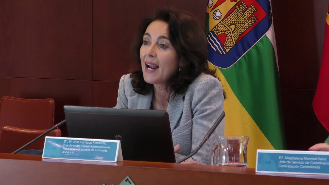 JORNADA SOBRE LA NUEVA LEY 9/2017 - MARÍA JOSÉ SANTIAGO FERNÁNDEZ - YouTube