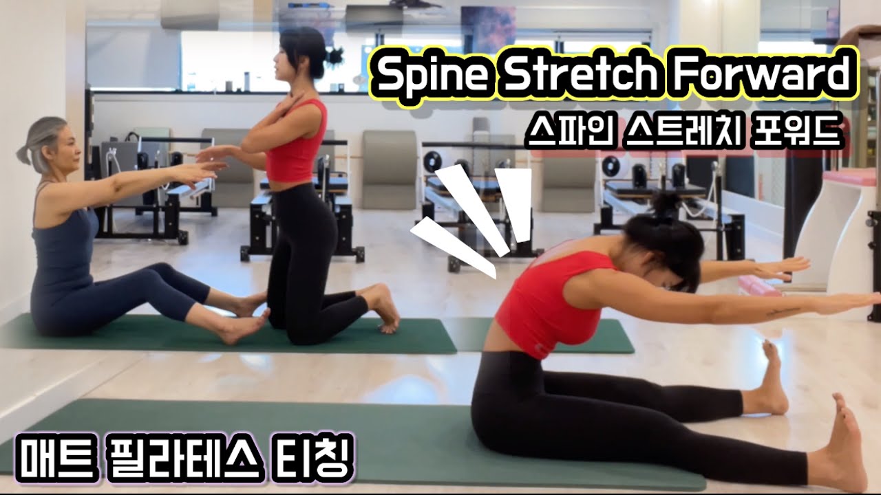 필라테스 티칭 | Spine Stretch Forward 완전 정리