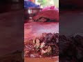 #Farrakh Food Vlog #foodchannel #food