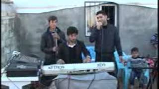 Dilan Dılan Sedam Damar