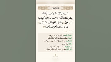 السراج في بيان غريب القران سورة الطور 4 مع تلاوة الشيخ سعد الغامدي