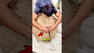 If you ever vacuum a wasp nest… you’re asking for THIS 🚨😨